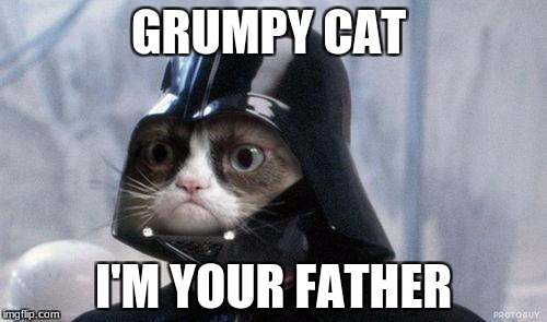 Grumpy Cat Star Wars Meme | GRUMPY CAT; I'M YOUR FATHER | image tagged in memes,grumpy cat star wars,grumpy cat | made w/ Imgflip meme maker