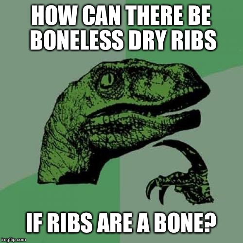Philosoraptor Meme | HOW CAN THERE BE BONELESS DRY RIBS; IF RIBS ARE A BONE? | image tagged in memes,philosoraptor | made w/ Imgflip meme maker