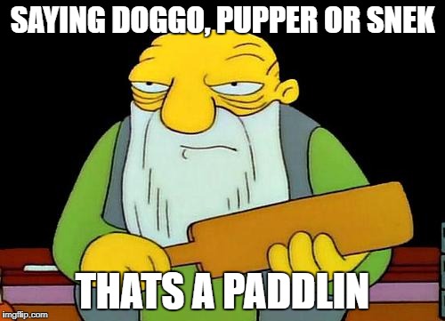 That's a paddlin' | SAYING DOGGO, PUPPER OR SNEK; THATS A PADDLIN | image tagged in memes,that's a paddlin' | made w/ Imgflip meme maker