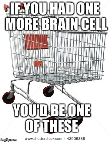 Shopping Trolley | IF YOU HAD ONE MORE BRAIN CELL; YOU'D BE ONE OF THESE | image tagged in idiot | made w/ Imgflip meme maker