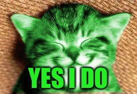 happy RayCat | YES I DO | image tagged in happy raycat | made w/ Imgflip meme maker