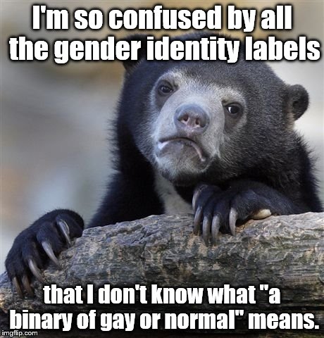 Please don't try to explain it to me, either...it makes my head hurt... | I'm so confused by all the gender identity labels; that I don't know what "a binary of gay or normal" means. | image tagged in memes,confession bear,gender identity,binary | made w/ Imgflip meme maker