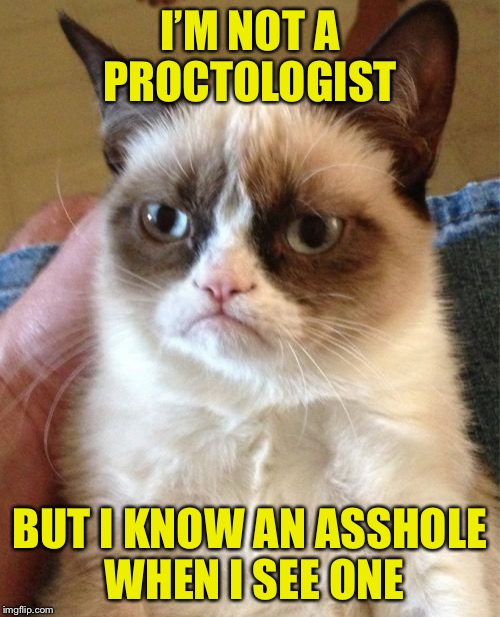 Grumpy Cat PhD  | I’M NOT A PROCTOLOGIST; BUT I KNOW AN ASSHOLE WHEN I SEE ONE | image tagged in memes,grumpy cat,proctologist | made w/ Imgflip meme maker