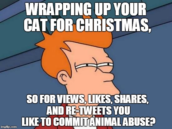 Futurama Fry Meme | WRAPPING UP YOUR CAT FOR CHRISTMAS, SO FOR VIEWS, LIKES, SHARES, AND RE-TWEETS YOU LIKE TO COMMIT ANIMAL ABUSE? | image tagged in memes,futurama fry | made w/ Imgflip meme maker