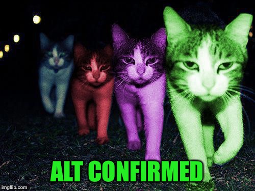 Wrong Neighborhood RayCats | ALT CONFIRMED | image tagged in wrong neighborhood raycats | made w/ Imgflip meme maker