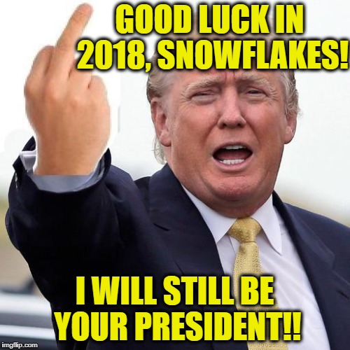 GOOD LUCK IN 2018, SNOWFLAKES! I WILL STILL BE YOUR PRESIDENT!! | made w/ Imgflip meme maker