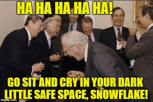 Laughing Men In Suits Meme | HA HA HA HA HA! GO SIT AND CRY IN YOUR DARK LITTLE SAFE SPACE, SNOWFLAKE! | image tagged in memes,laughing men in suits | made w/ Imgflip meme maker