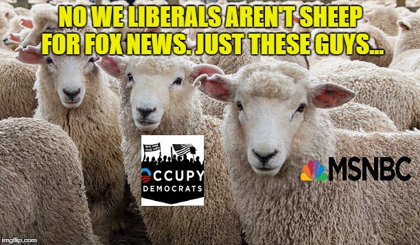 NO WE LIBERALS AREN'T SHEEP FOR FOX NEWS. JUST THESE GUYS... | made w/ Imgflip meme maker