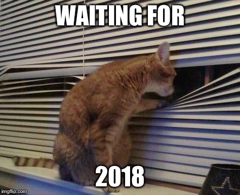 Cat Looking Through Blinds | WAITING FOR; 2018 | image tagged in cat looking through blinds,memes | made w/ Imgflip meme maker