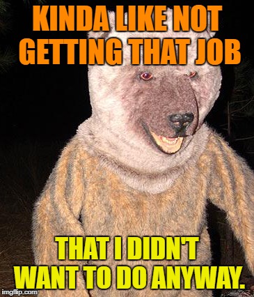 KINDA LIKE NOT GETTING THAT JOB THAT I DIDN'T WANT TO DO ANYWAY. | made w/ Imgflip meme maker