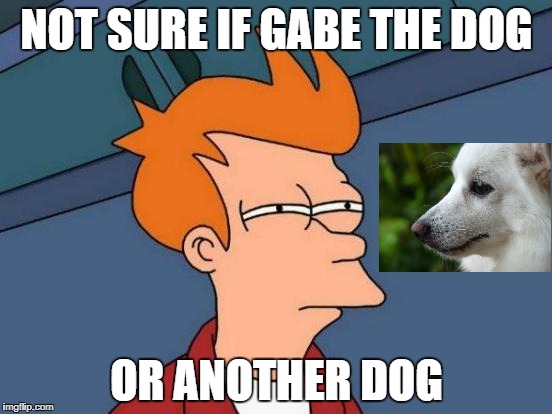 Futurama Fry Meme | NOT SURE IF GABE THE DOG; OR ANOTHER DOG | image tagged in memes,futurama fry | made w/ Imgflip meme maker