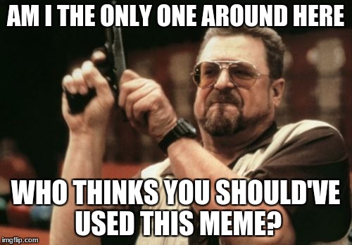 Am I The Only One Around Here Meme | AM I THE ONLY ONE AROUND HERE WHO THINKS YOU SHOULD'VE USED THIS MEME? | image tagged in memes,am i the only one around here | made w/ Imgflip meme maker