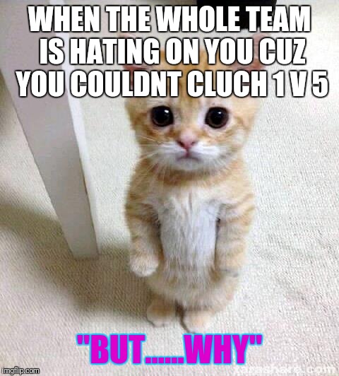 Cute Cat | WHEN THE WHOLE TEAM IS HATING ON YOU CUZ YOU COULDNT CLUCH 1 V 5; "BUT......WHY" | image tagged in memes,cute cat | made w/ Imgflip meme maker