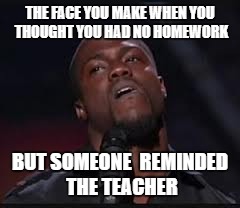 Kevin Hart | THE FACE YOU MAKE WHEN YOU THOUGHT YOU HAD NO HOMEWORK; BUT SOMEONE  REMINDED THE TEACHER | image tagged in kevin hart | made w/ Imgflip meme maker
