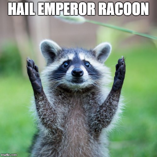 HAIL EMPEROR RACOON | made w/ Imgflip meme maker
