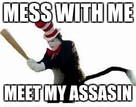 cat assasin | MESS WITH ME; MEET MY ASSASIN | image tagged in cat assasin,memes | made w/ Imgflip meme maker