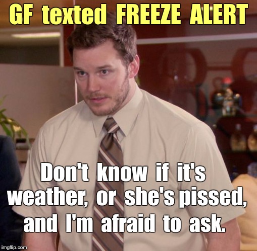 FREEZE ALERT text | GF  texted  FREEZE  ALERT; Don't  know  if  it's  weather,  or  she's pissed, and  I'm  afraid  to  ask. | image tagged in memes,afraid to ask andy,texts,girlfriend | made w/ Imgflip meme maker