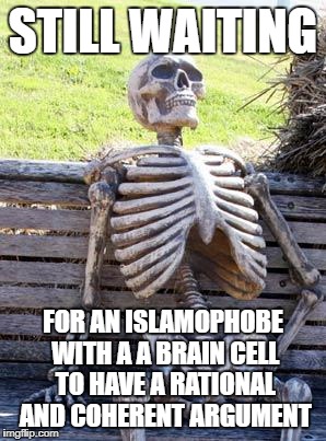 Waiting Skeleton | STILL WAITING; FOR AN ISLAMOPHOBE WITH A A BRAIN CELL TO HAVE A RATIONAL AND COHERENT ARGUMENT | image tagged in memes,waiting skeleton,islam,anti-islamophobia,brain dead | made w/ Imgflip meme maker