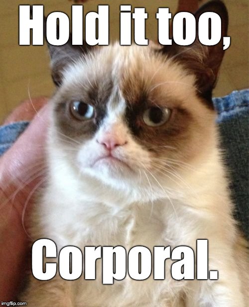 Grumpy Cat Meme | Hold it too, Corporal. | image tagged in memes,grumpy cat | made w/ Imgflip meme maker