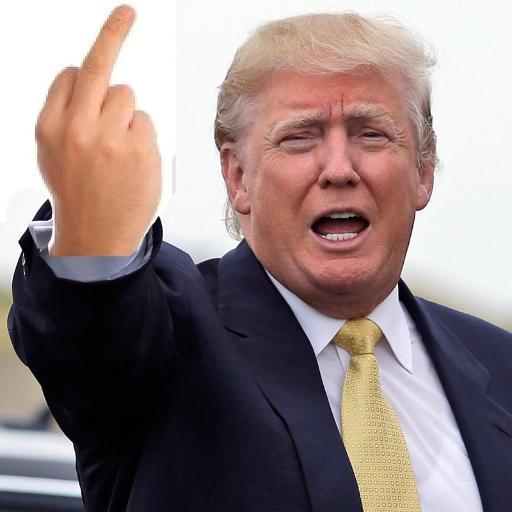 Donald Trump middle finger Blank Meme Template
