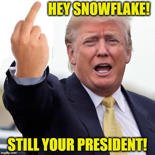 Donald Trump middle finger | HEY SNOWFLAKE! STILL YOUR PRESIDENT! | image tagged in donald trump middle finger | made w/ Imgflip meme maker