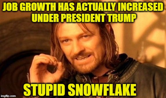 One Does Not Simply Meme | JOB GROWTH HAS ACTUALLY INCREASED UNDER PRESIDENT TRUMP STUPID SNOWFLAKE | image tagged in memes,one does not simply | made w/ Imgflip meme maker
