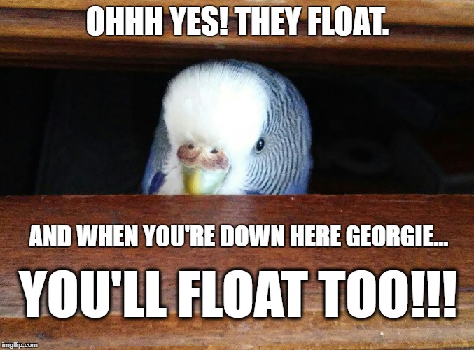 OHHH YES! THEY FLOAT. AND WHEN YOU'RE DOWN HERE GEORGIE... YOU'LL FLOAT TOO!!! | image tagged in pennywise,bird,budgerigar,it,bugdie,steven king | made w/ Imgflip meme maker