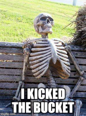 Waiting Skeleton Meme | I KICKED THE BUCKET | image tagged in memes,waiting skeleton | made w/ Imgflip meme maker