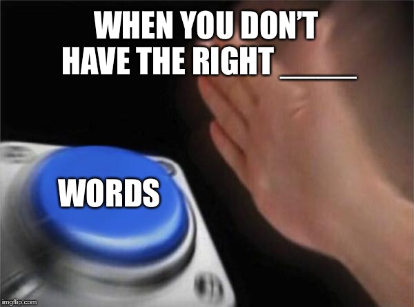 Blank Nut Button | WHEN YOU DON’T HAVE THE RIGHT ____; WORDS | image tagged in memes,blank nut button | made w/ Imgflip meme maker