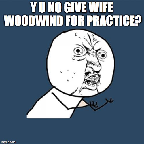 Y U No Meme | Y U NO GIVE WIFE WOODWIND FOR PRACTICE? | image tagged in memes,y u no | made w/ Imgflip meme maker