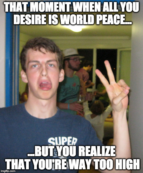 druffy | THAT MOMENT WHEN ALL YOU DESIRE IS WORLD PEACE... ...BUT YOU REALIZE THAT YOU'RE WAY TOO HIGH | image tagged in druffy | made w/ Imgflip meme maker