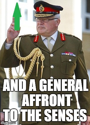 AND A GENERAL AFFRONT TO THE SENSES | made w/ Imgflip meme maker