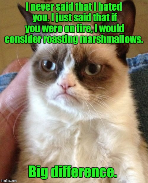 Grumpy Cat Meme | I never said that I hated you. I just said that if you were on fire, I would consider roasting marshmallows. Big difference. | image tagged in memes,grumpy cat | made w/ Imgflip meme maker