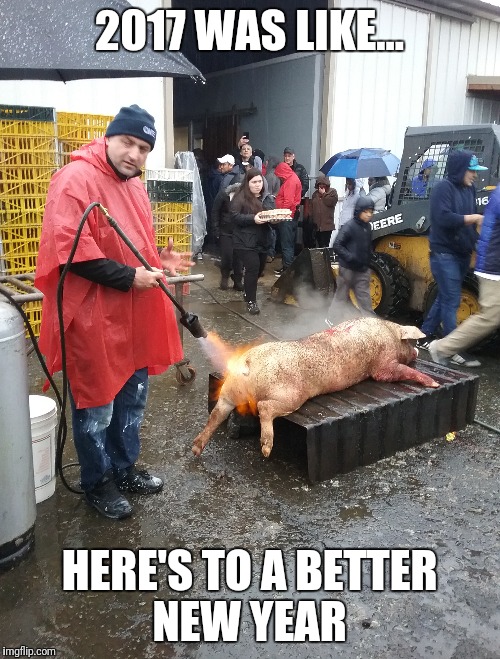 Good Riddance 2017 | 2017 WAS LIKE... HERE'S TO A BETTER NEW YEAR | image tagged in happy new year | made w/ Imgflip meme maker