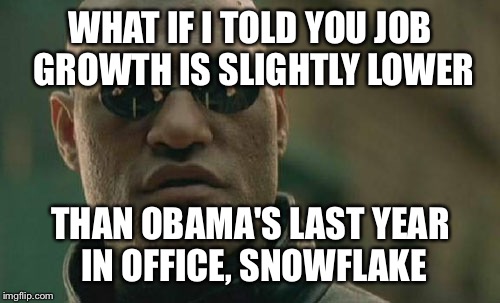 Matrix Morpheus Meme | WHAT IF I TOLD YOU JOB GROWTH IS SLIGHTLY LOWER THAN OBAMA'S LAST YEAR IN OFFICE, SNOWFLAKE | image tagged in memes,matrix morpheus | made w/ Imgflip meme maker