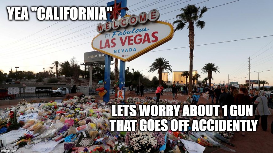 Too Many Guns | YEA "CALIFORNIA" LETS WORRY ABOUT 1 GUN THAT GOES OFF ACCIDENTLY | image tagged in too many guns | made w/ Imgflip meme maker
