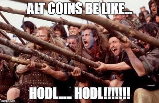 Braveheart hold | ALT COINS BE LIKE... HODL..... HODL!!!!!!! | image tagged in braveheart hold | made w/ Imgflip meme maker