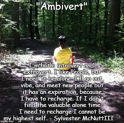 "Ambivert"; I'm both: introvert and extrovert. I like People, but I need to be alone. I'll go out, vibe, and meet new people but it has an expiration, because I have to recharge. If I don't find the valuable alone time I need to recharge I cannot be my highest self.
- Sylvester McNuttIII | made w/ Imgflip meme maker