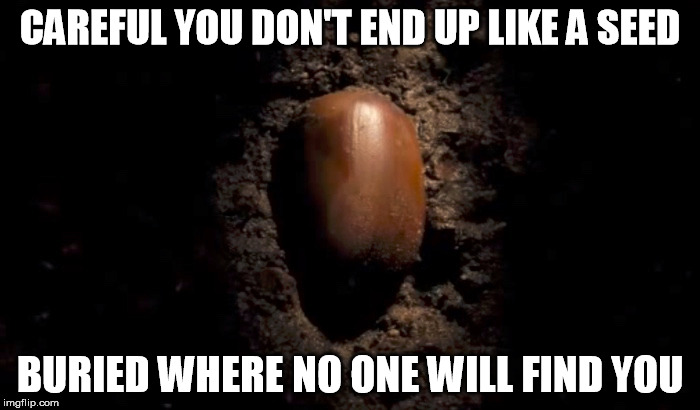 Careful now... | CAREFUL YOU DON'T END UP LIKE A SEED; BURIED WHERE NO ONE WILL FIND YOU | image tagged in be careful,buried,botany,joke | made w/ Imgflip meme maker