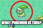 So I was looking in the shelter on pokefarm and happened to see this... | WHAT POKEMON IS THIS? | image tagged in pokemon mutant | made w/ Imgflip meme maker