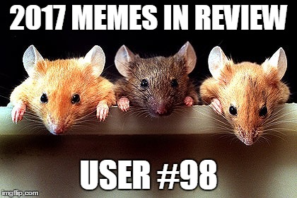 Dec.31 to Feb.1 - 2017 Memes in Review. My favorite memes in 2017 from each user on the Top 100 leaderboard. | 2017 MEMES IN REVIEW; USER #98 | image tagged in 3 mice,memes,top users,superdenni,favorites,2017 memes in review | made w/ Imgflip meme maker