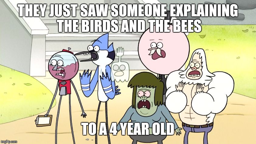 SHE'S TOO YOUNG YOU CLOWNRAISER! |  THEY JUST SAW SOMEONE EXPLAINING THE BIRDS AND THE BEES; TO A 4 YEAR OLD | image tagged in look what you did regular show hd,mordecai,regular show,funny memes,birds and bees,cartoon network | made w/ Imgflip meme maker