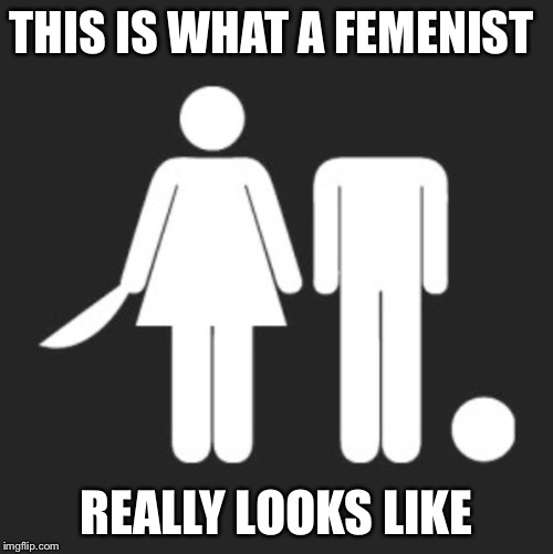 This is what a meme really looks like | THIS IS WHAT A FEMENIST; REALLY LOOKS LIKE | image tagged in femenist,bathroom,cutting,youtube,sjws,women | made w/ Imgflip meme maker