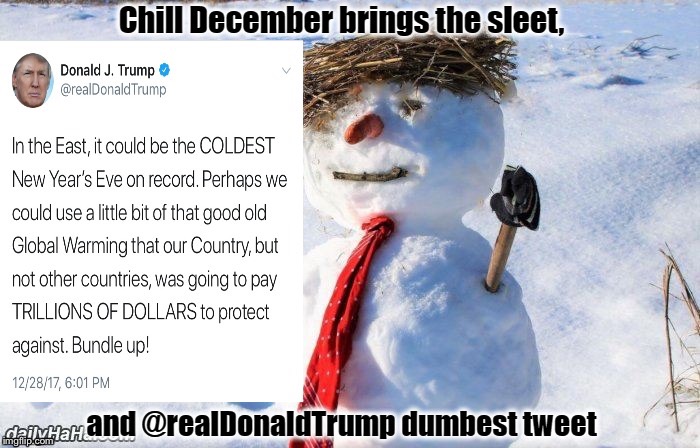 Dumb and Dumbest  | image tagged in donald trump,resist,global warming,twitter,2017 | made w/ Imgflip meme maker
