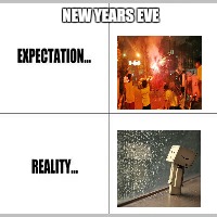 Expectation vs Reality | NEW YEARS EVE | image tagged in expectation vs reality | made w/ Imgflip meme maker