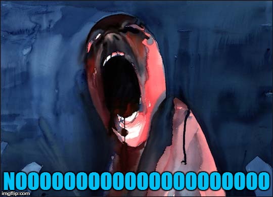 Pink Floyd Scream | NOOOOOOOOOOOOOOOOOOOOO | image tagged in pink floyd scream | made w/ Imgflip meme maker