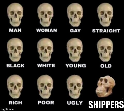 Shippers... | SHIPPERS | image tagged in idiot skull | made w/ Imgflip meme maker