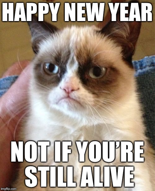 Grumpy Cat Meme | HAPPY NEW YEAR; NOT IF YOU’RE STILL ALIVE | image tagged in memes,grumpy cat | made w/ Imgflip meme maker