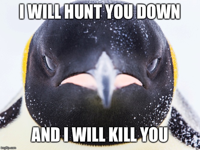 Serial killer penguin  | I WILL HUNT YOU DOWN; AND I WILL KILL YOU | image tagged in memes,funny | made w/ Imgflip meme maker