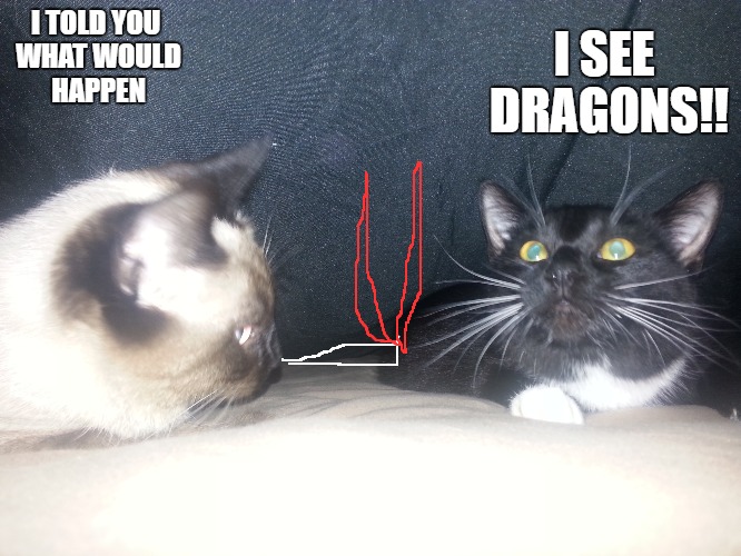 buddies | I TOLD YOU WHAT WOULD HAPPEN; I SEE DRAGONS!! | image tagged in cats,funny,smoking,weed,stoned | made w/ Imgflip meme maker